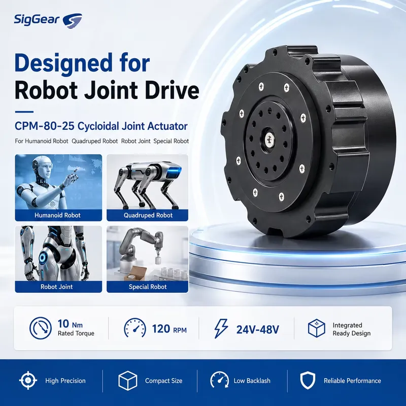 Cycloidal Reducer Bldc Motor - Motore a ingranaggi cicloidali BLDC SigGear