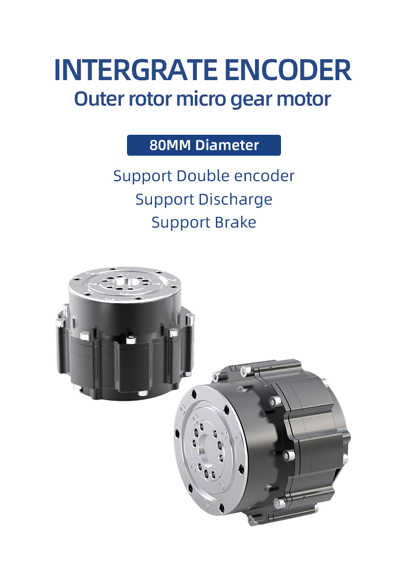 Motore BLDC con Riduttore Plan - Bldc Planetary Gear Motor 48V High Torque recensione e prezzo