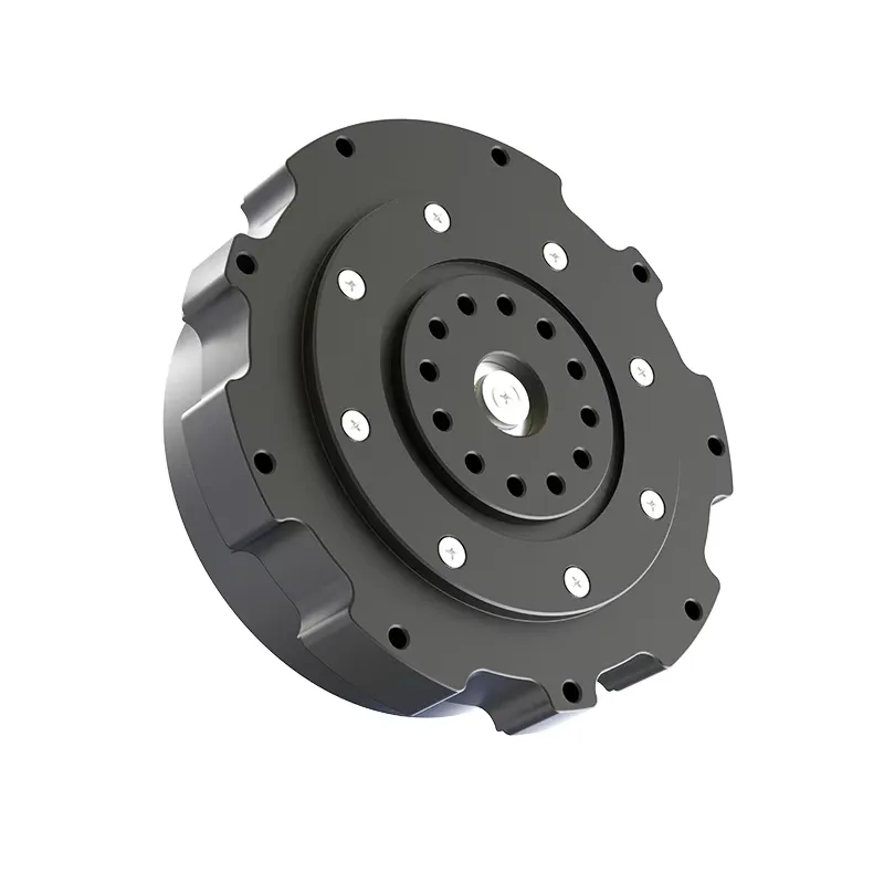 Motore a ingranaggi cicloidali - Cycloidal Reducer Bldc Motor recensione e prezzo