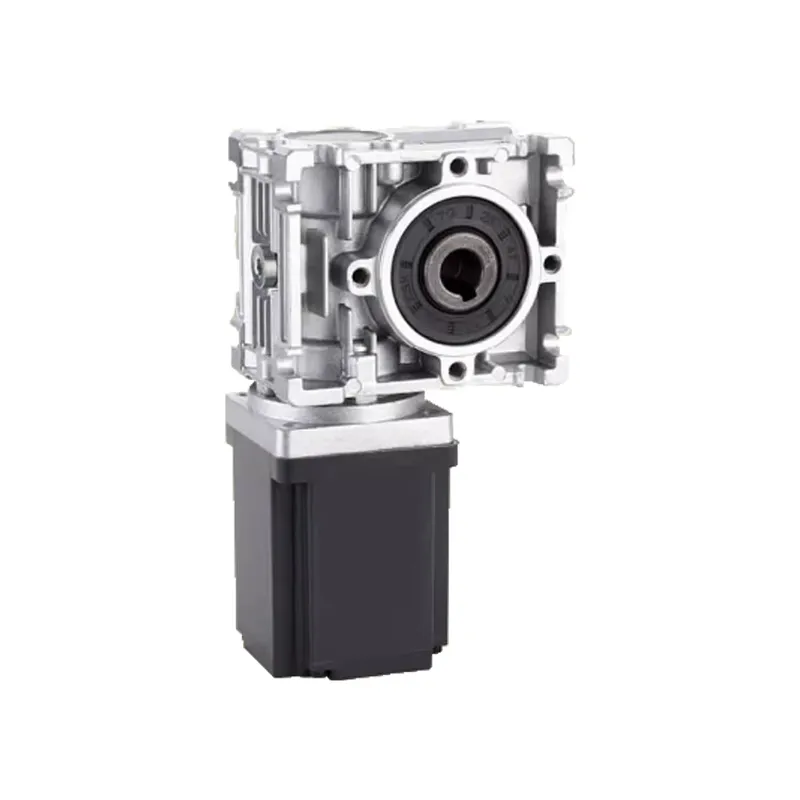 Motore BLDC a vite senza fine  - Bldc Planetary Gear Motor 48V High Torque recensione e prezzo